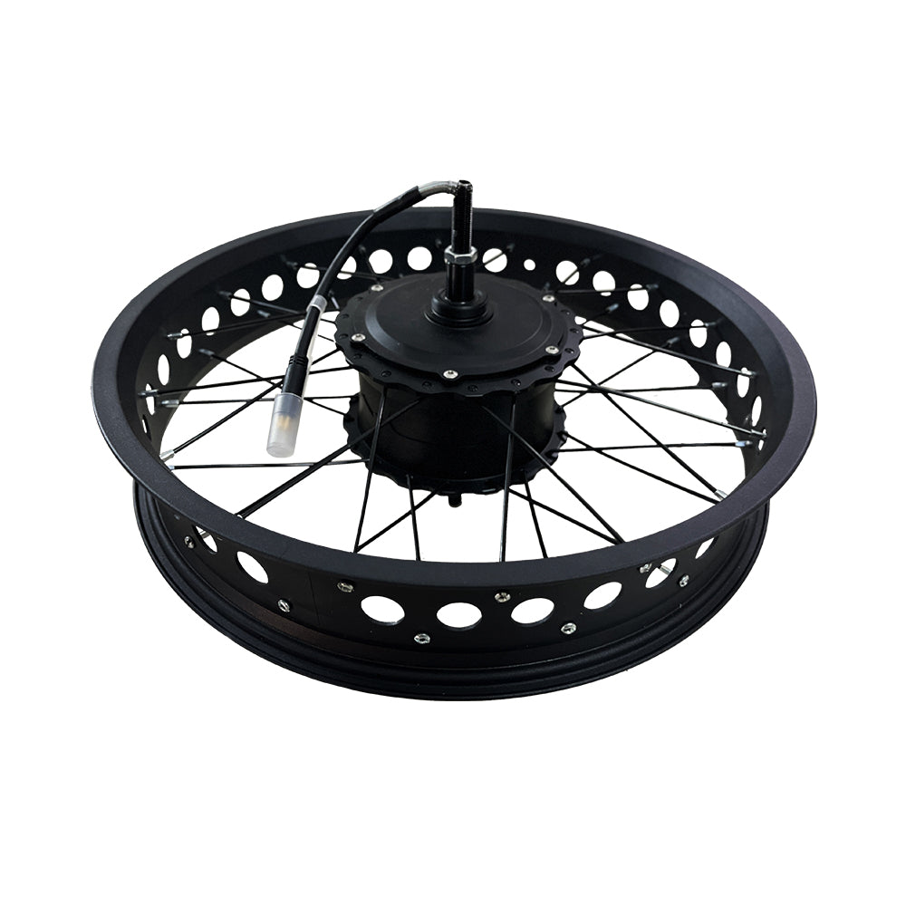 drvetion-controller-moteur-moyeux-roue-arri-re image 2
