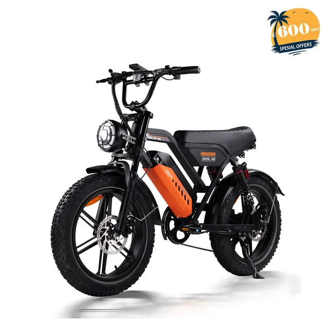 avdleu-a50-20x4-v-lo-lectrique-fat-bike-250w-48v-70km image 1