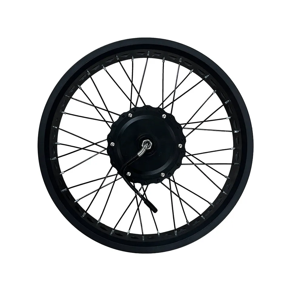 drvetion-controller-moteur-moyeux-roue-arri-re image 1